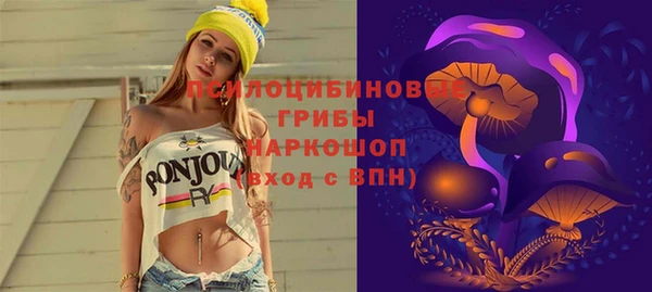 мдпв Горнозаводск