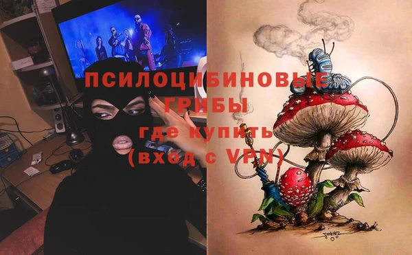 соль ск Горняк