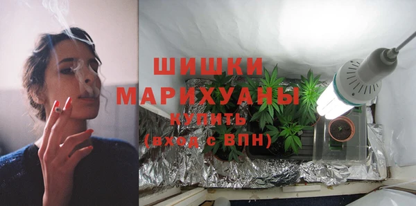 мдпв Горнозаводск