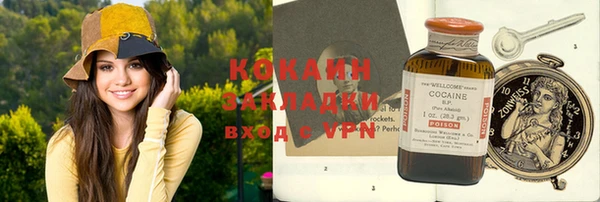 мдпв Горнозаводск